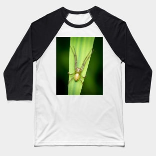 A lynx spider laying in wait Baseball T-Shirt
